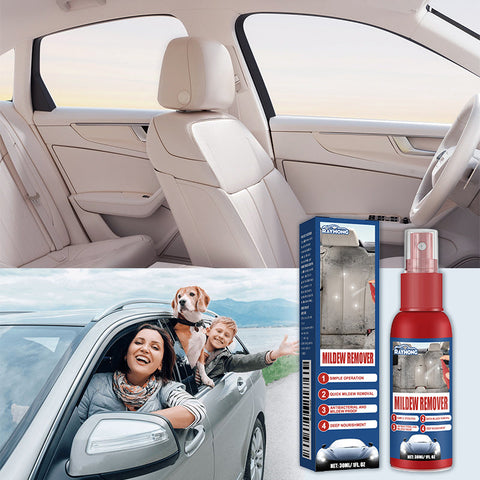 Mild Formula Car Interior Mildew Remover