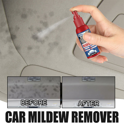 Mild Formula Car Interior Mildew Remover